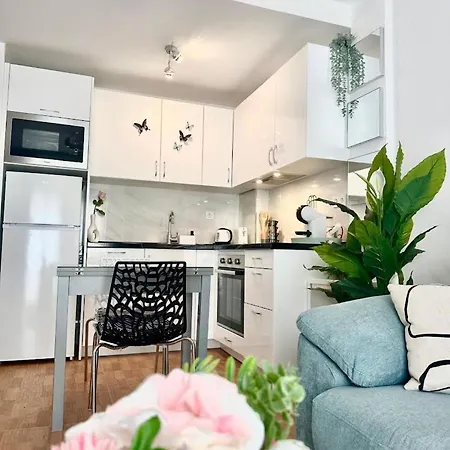 Blue Pearl Cozy Calle Nueva *